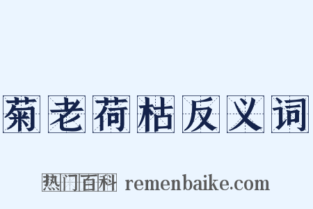 菊老荷枯反义词是什么意思的图片